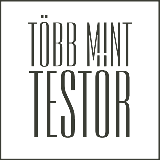 Több mint testőr